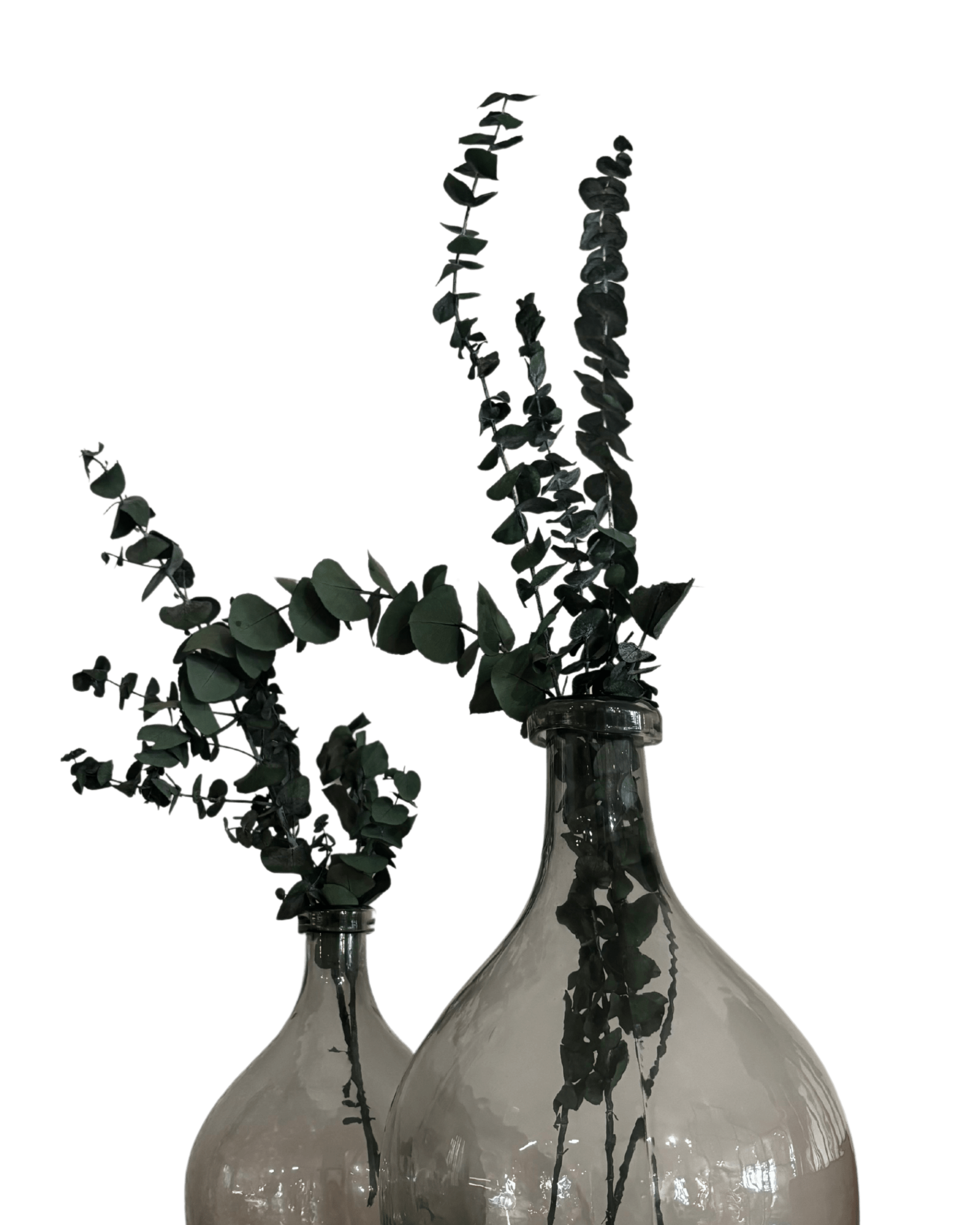 Decoración